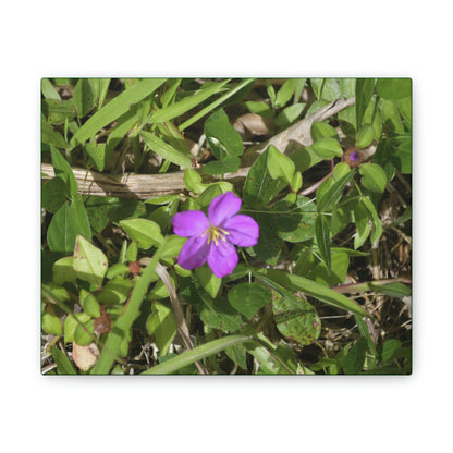 Deals on Thin Canvas - Stretched, 0.75" - Small Sizes Horizontal - Ideal for Wall Forest Mosaics - Flower in Foliage - Rio Sabana Park - Green Forest Home