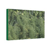 Deals on Thin Canvas - Stretched, 0.75" - Small Sizes Horizontal - Ideal for Wall Forest Mosaics - Large Bamboo Cluster near Rio Blanco - Green Forest Home