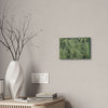 Deals on Thin Canvas - Stretched, 0.75" - Small Sizes Horizontal - Ideal for Wall Forest Mosaics - Large Bamboo Cluster near Rio Blanco - Green Forest Home
