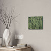 Deals on Thin Canvas - Stretched, 0.75" - Small Sizes Horizontal - Ideal for Wall Forest Mosaics - Large Bamboo Cluster near Rio Blanco - Green Forest Home