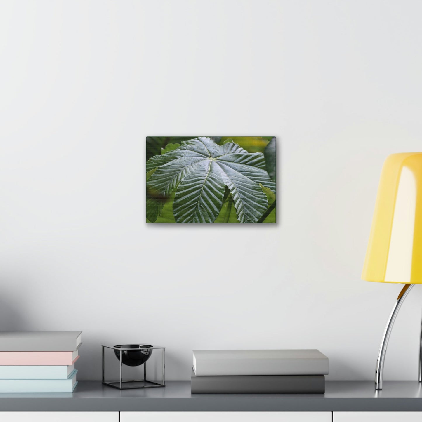 Deals on Thin Canvas - Stretched, 0.75" - Small Sizes Horizontal - Ideal for Wall Forest Mosaics - Lonely fern and foliage on the ground - Green Forest Home