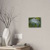 Deals on Thin Canvas - Stretched, 0.75" - Small Sizes Horizontal - Ideal for Wall Forest Mosaics - Lonely fern and foliage on the ground - Green Forest Home
