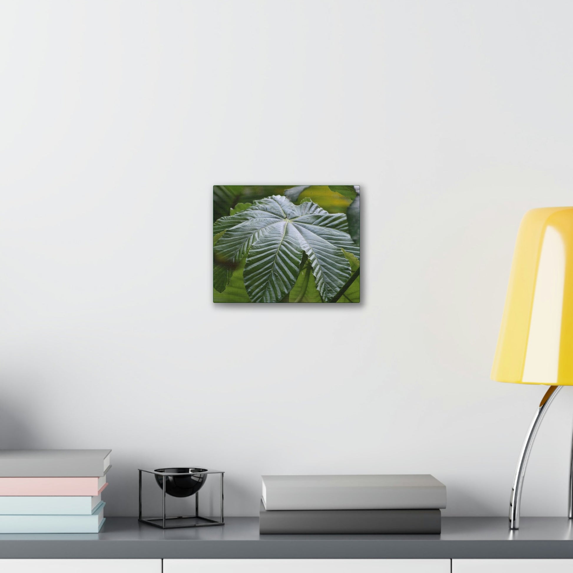 Deals on Thin Canvas - Stretched, 0.75" - Small Sizes Horizontal - Ideal for Wall Forest Mosaics - Lonely fern and foliage on the ground - Green Forest Home