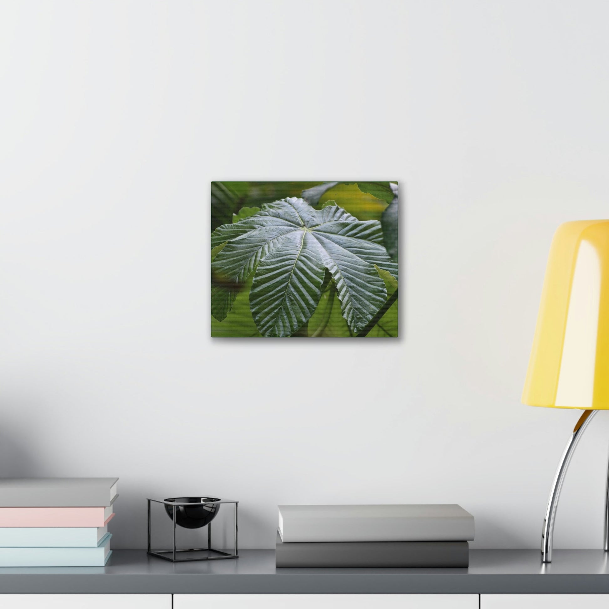 Deals on Thin Canvas - Stretched, 0.75" - Small Sizes Horizontal - Ideal for Wall Forest Mosaics - Lonely fern and foliage on the ground - Green Forest Home