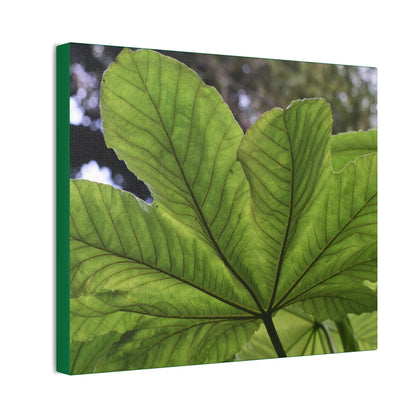 Deals on Thin Canvas - Stretched, 0.75" - Small Sizes Horizontal - Ideal for Wall Forest Mosaics - MirameLinda Plant - look at me i am pretty - Green Forest Home