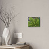 Deals on Thin Canvas - Stretched, 0.75" - Small Sizes Horizontal - Ideal for Wall Forest Mosaics - MirameLinda Plant - look at me i am pretty - Green Forest Home