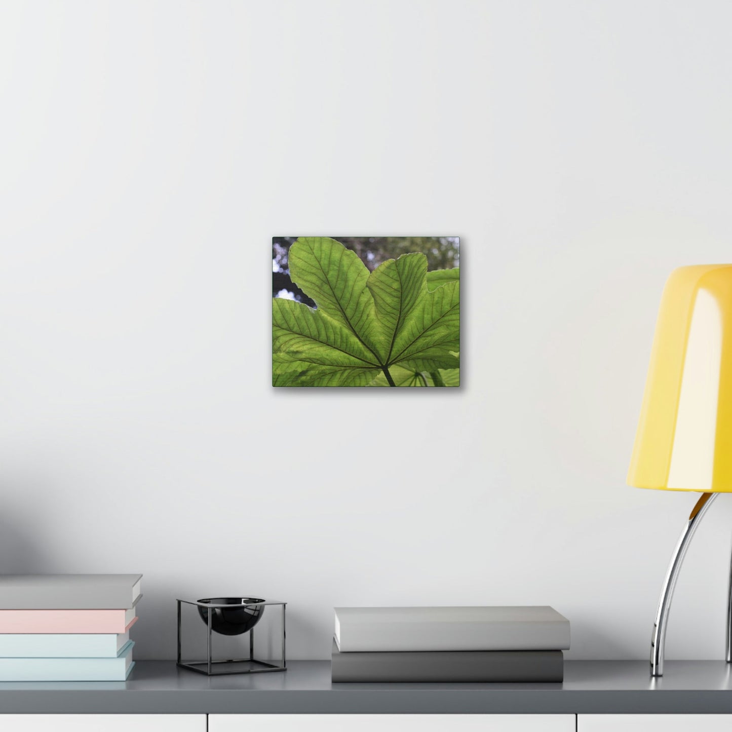 Deals on Thin Canvas - Stretched, 0.75" - Small Sizes Horizontal - Ideal for Wall Forest Mosaics - MirameLinda Plant - look at me i am pretty - Green Forest Home