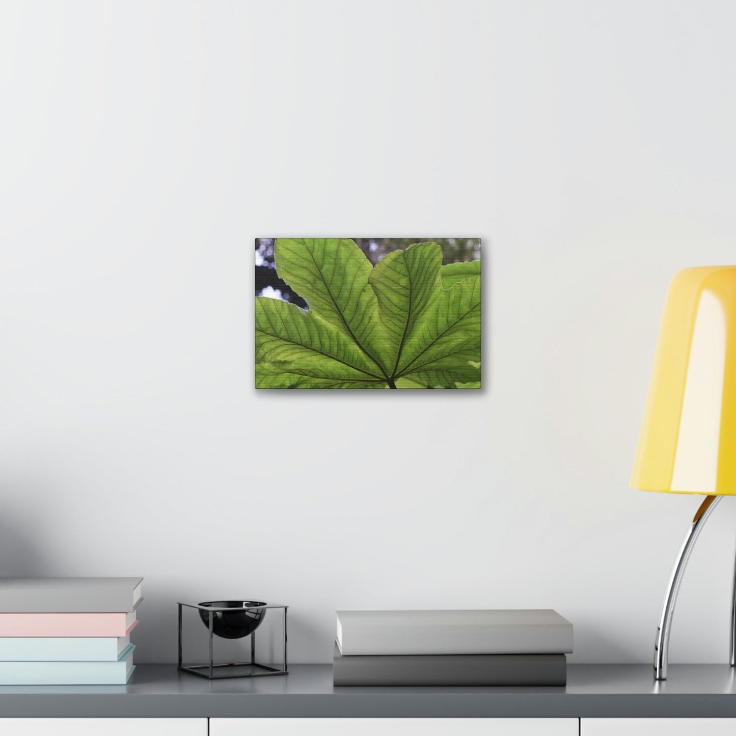 Deals on Thin Canvas - Stretched, 0.75" - Small Sizes Horizontal - Ideal for Wall Forest Mosaics - MirameLinda Plant - look at me i am pretty - Green Forest Home
