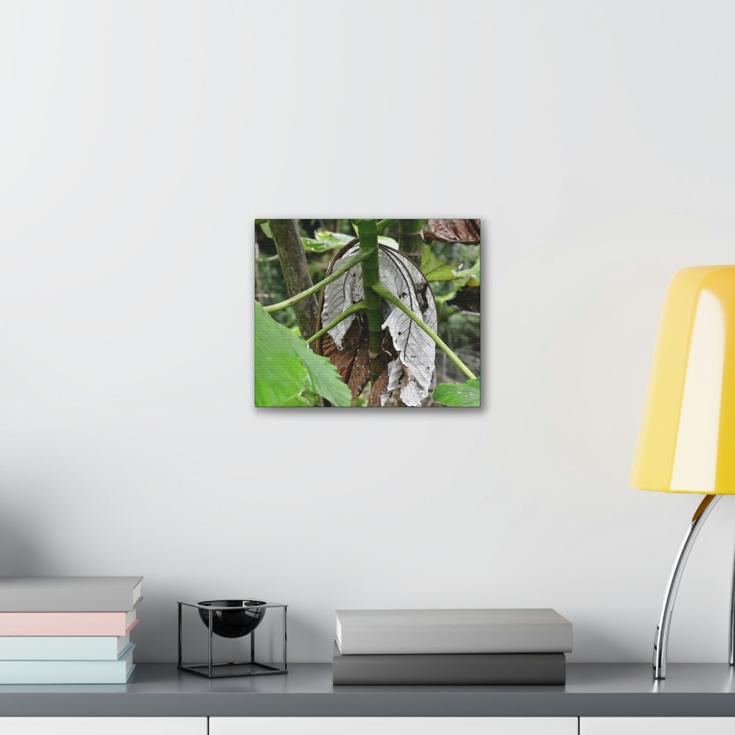 Deals on Thin Canvas - Stretched, 0.75" - Small Sizes Horizontal - Ideal for Wall Forest Mosaics - New Yagrumo Tree with dry leaf around it - Green Forest Home