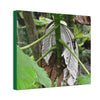 Deals on Thin Canvas - Stretched, 0.75" - Small Sizes Horizontal - Ideal for Wall Forest Mosaics - New Yagrumo Tree with dry leaf around it - Green Forest Home