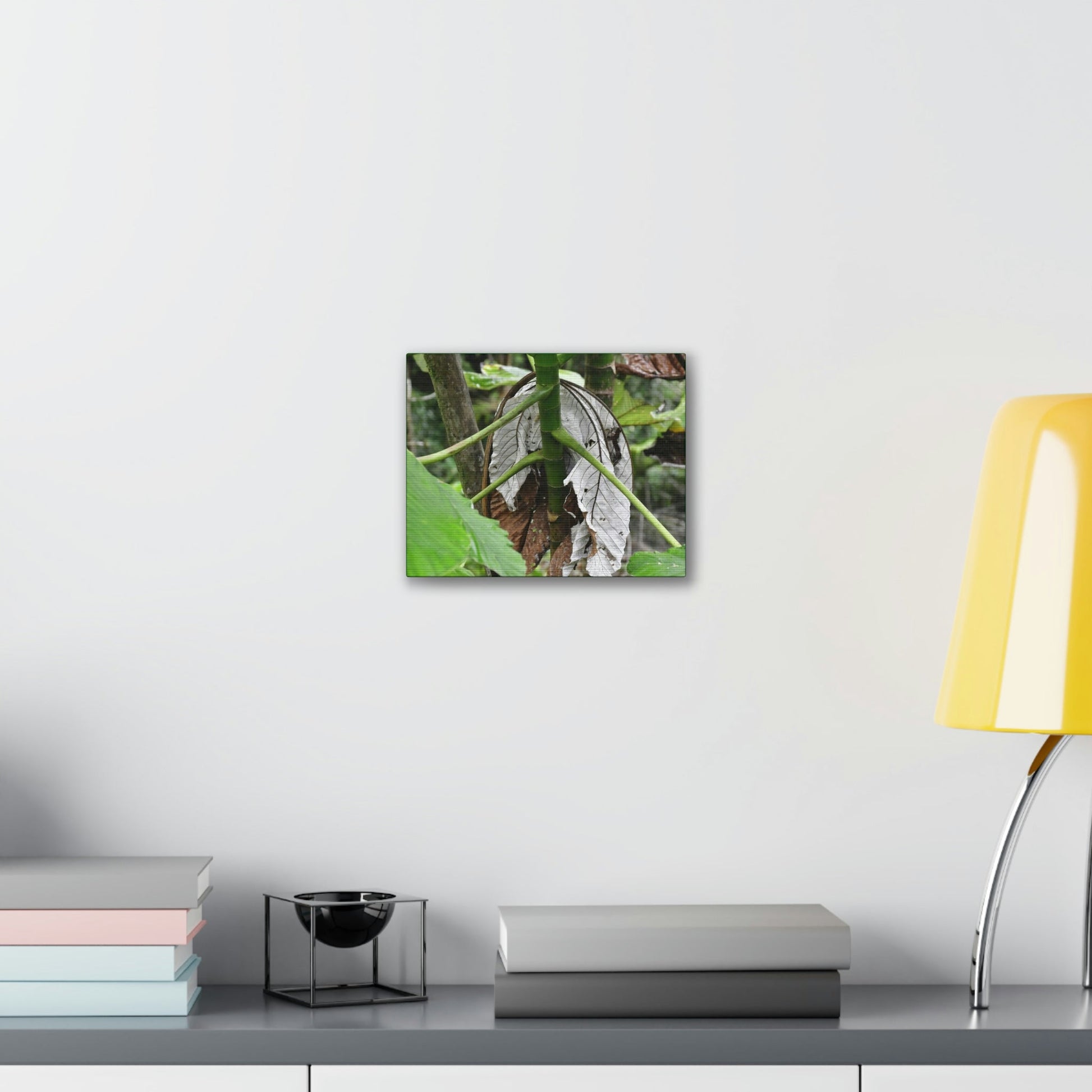 Deals on Thin Canvas - Stretched, 0.75" - Small Sizes Horizontal - Ideal for Wall Forest Mosaics - New Yagrumo Tree with dry leaf around it - Green Forest Home