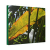 Deals on Thin Canvas - Stretched, 0.75" - Small Sizes Horizontal - Ideal for Wall Forest Mosaics - Primitive Banana like leaf in the sun - Green Forest Home