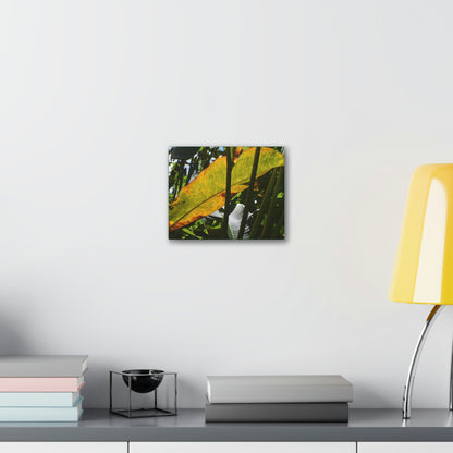 Deals on Thin Canvas - Stretched, 0.75" - Small Sizes Horizontal - Ideal for Wall Forest Mosaics - Primitive Banana like leaf in the sun - Green Forest Home