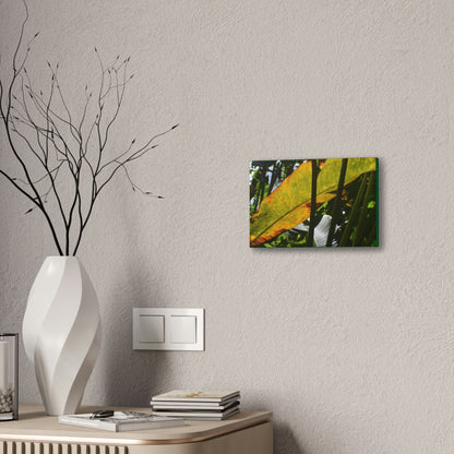 Deals on Thin Canvas - Stretched, 0.75" - Small Sizes Horizontal - Ideal for Wall Forest Mosaics - Primitive Banana like leaf in the sun - Green Forest Home