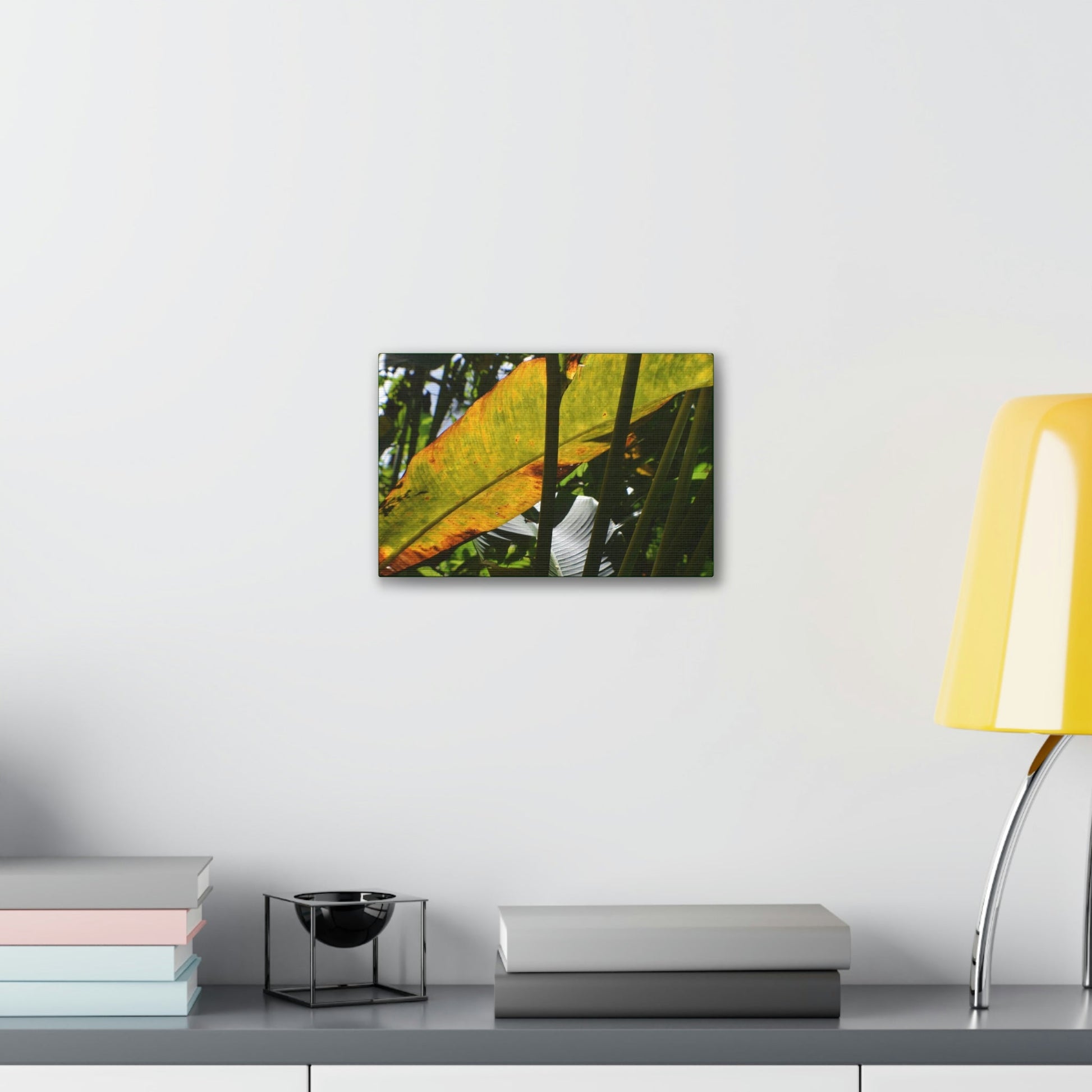 Deals on Thin Canvas - Stretched, 0.75" - Small Sizes Horizontal - Ideal for Wall Forest Mosaics - Primitive Banana like leaf in the sun - Green Forest Home