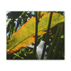 Deals on Thin Canvas - Stretched, 0.75" - Small Sizes Horizontal - Ideal for Wall Forest Mosaics - Primitive Banana like leaf in the sun - Green Forest Home