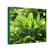 Deals on Thin Canvas - Stretched, 0.75" - Small Sizes Horizontal - Ideal for Wall Forest Mosaics - Primitive Banana plants leaves under the sun - Green Forest Home