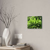Deals on Thin Canvas - Stretched, 0.75" - Small Sizes Horizontal - Ideal for Wall Forest Mosaics - Primitive Banana plants leaves under the sun - Green Forest Home