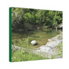 Deals on Thin Canvas - Stretched, 0.75" - Small Sizes Horizontal - Ideal for Wall Forest Mosaics - Pure water pond near bridge Rio Sabana park - Green Forest Home