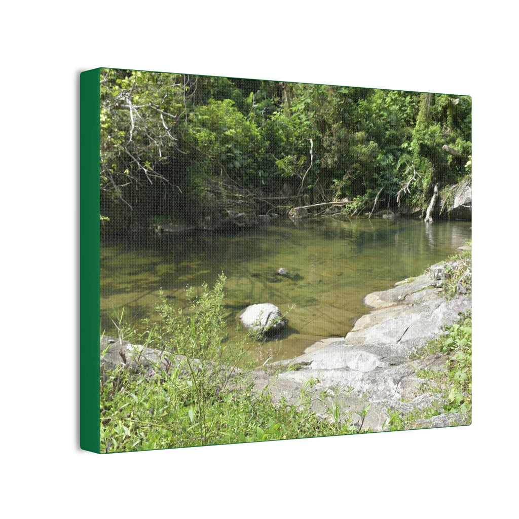 Deals on Thin Canvas - Stretched, 0.75" - Small Sizes Horizontal - Ideal for Wall Forest Mosaics - Pure water pond near bridge Rio Sabana park - Green Forest Home