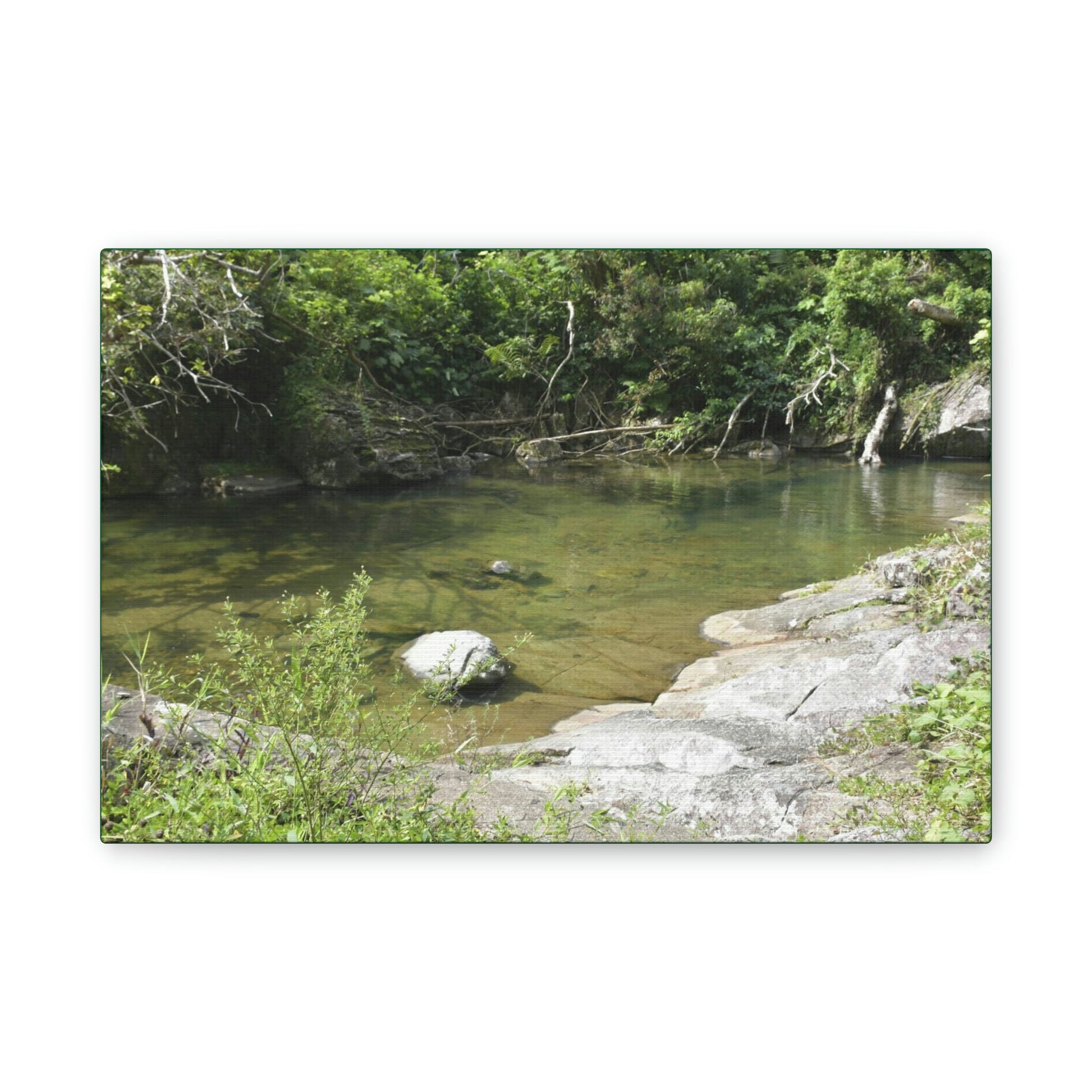 Deals on Thin Canvas - Stretched, 0.75" - Small Sizes Horizontal - Ideal for Wall Forest Mosaics - Pure water pond near bridge Rio Sabana park - Green Forest Home