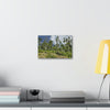 Deals on Thin Canvas - Stretched, 0.75" - Small Sizes Horizontal - Ideal for Wall Forest Mosaics - Rio Sabana Park Landslide on Main Road - Green Forest Home