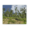 Deals on Thin Canvas - Stretched, 0.75" - Small Sizes Horizontal - Ideal for Wall Forest Mosaics - Rio Sabana Park Landslide on Main Road - Green Forest Home
