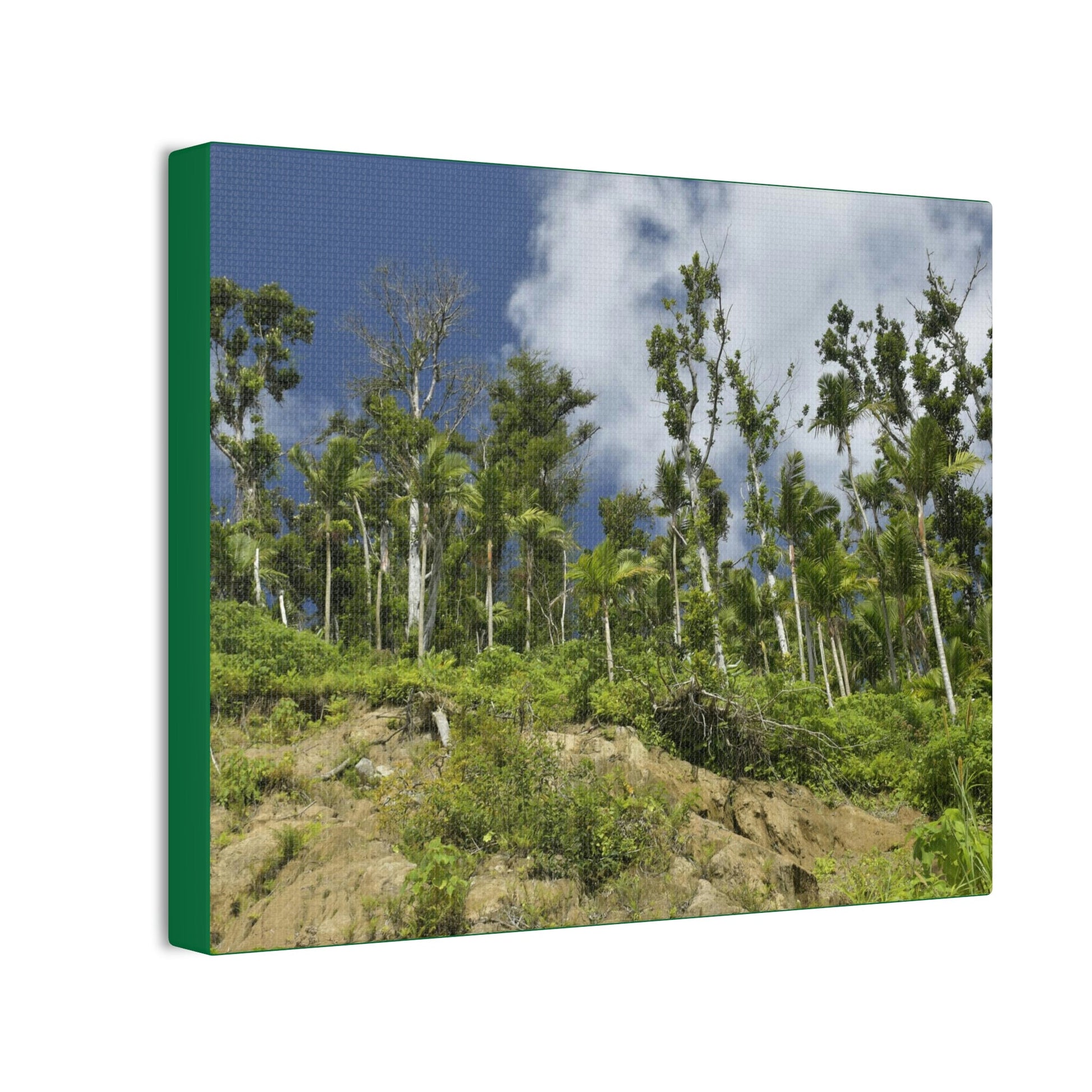 Deals on Thin Canvas - Stretched, 0.75" - Small Sizes Horizontal - Ideal for Wall Forest Mosaics - Rio Sabana Park Landslide on Main Road - Green Forest Home