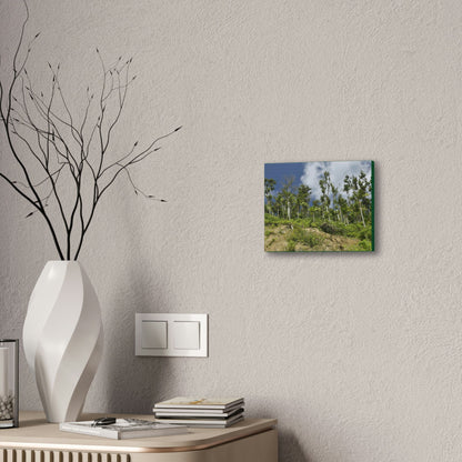 Deals on Thin Canvas - Stretched, 0.75" - Small Sizes Horizontal - Ideal for Wall Forest Mosaics - Rio Sabana Park Landslide on Main Road - Green Forest Home