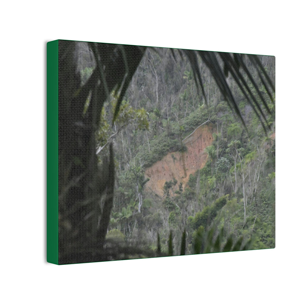 Deals on Thin Canvas - Stretched, 0.75" - Small Sizes Horizontal - Ideal for Wall Forest Mosaics - Rio Sabana Trail View of Landslide - Green Forest Home