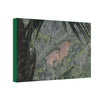 Deals on Thin Canvas - Stretched, 0.75" - Small Sizes Horizontal - Ideal for Wall Forest Mosaics - Rio Sabana Trail View of Landslide - Green Forest Home