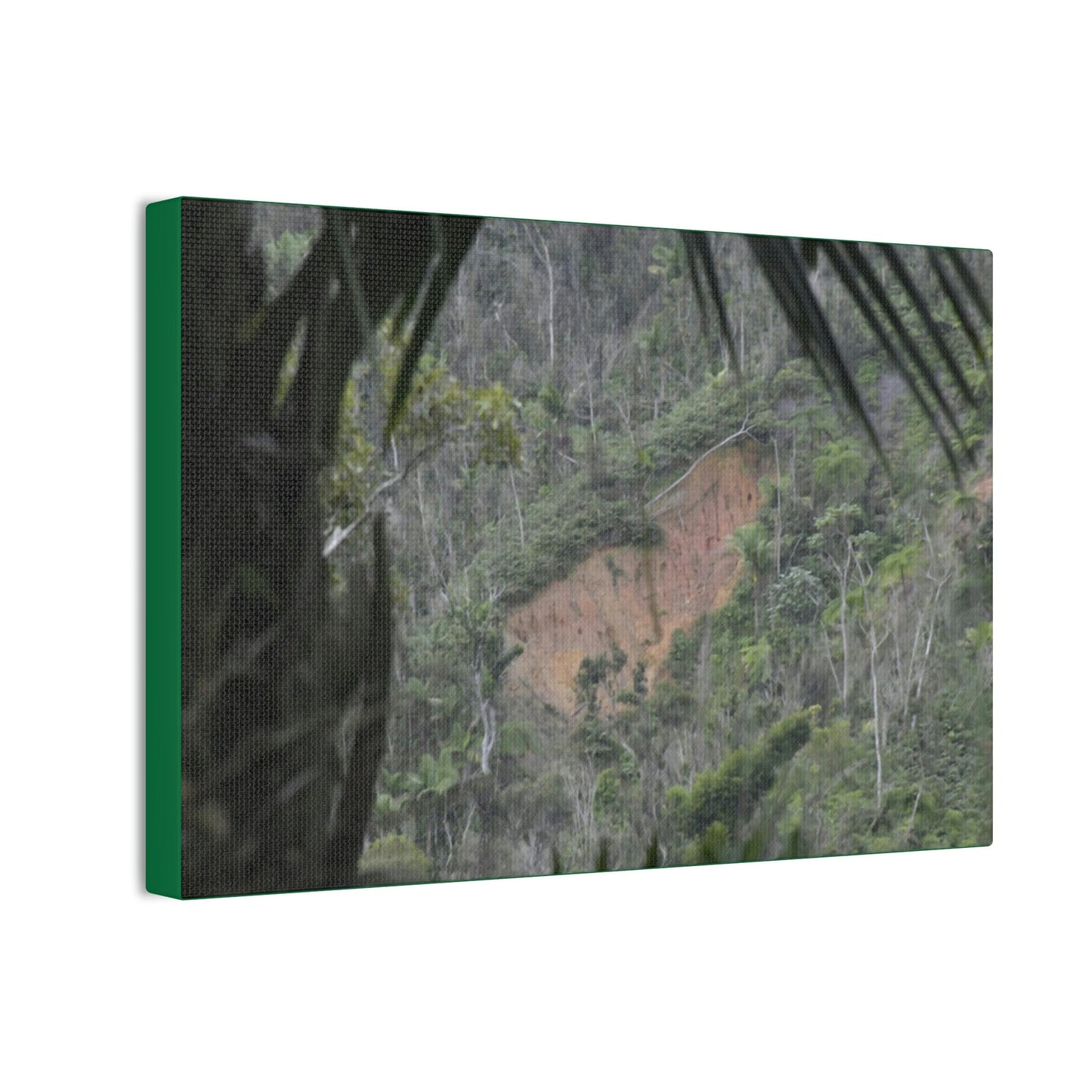 Deals on Thin Canvas - Stretched, 0.75" - Small Sizes Horizontal - Ideal for Wall Forest Mosaics - Rio Sabana Trail View of Landslide - Green Forest Home