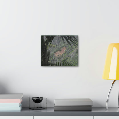 Deals on Thin Canvas - Stretched, 0.75" - Small Sizes Horizontal - Ideal for Wall Forest Mosaics - Rio Sabana Trail View of Landslide - Green Forest Home