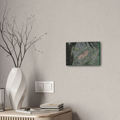 Deals on Thin Canvas - Stretched, 0.75" - Small Sizes Horizontal - Ideal for Wall Forest Mosaics - Rio Sabana Trail View of Landslide - Green Forest Home