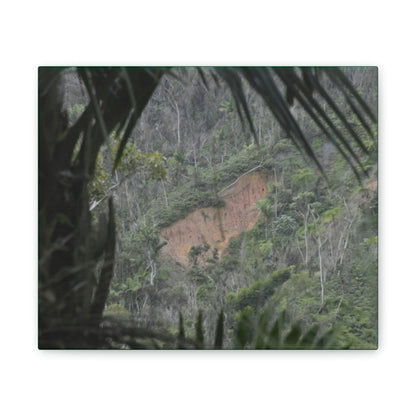 Deals on Thin Canvas - Stretched, 0.75" - Small Sizes Horizontal - Ideal for Wall Forest Mosaics - Rio Sabana Trail View of Landslide - Green Forest Home