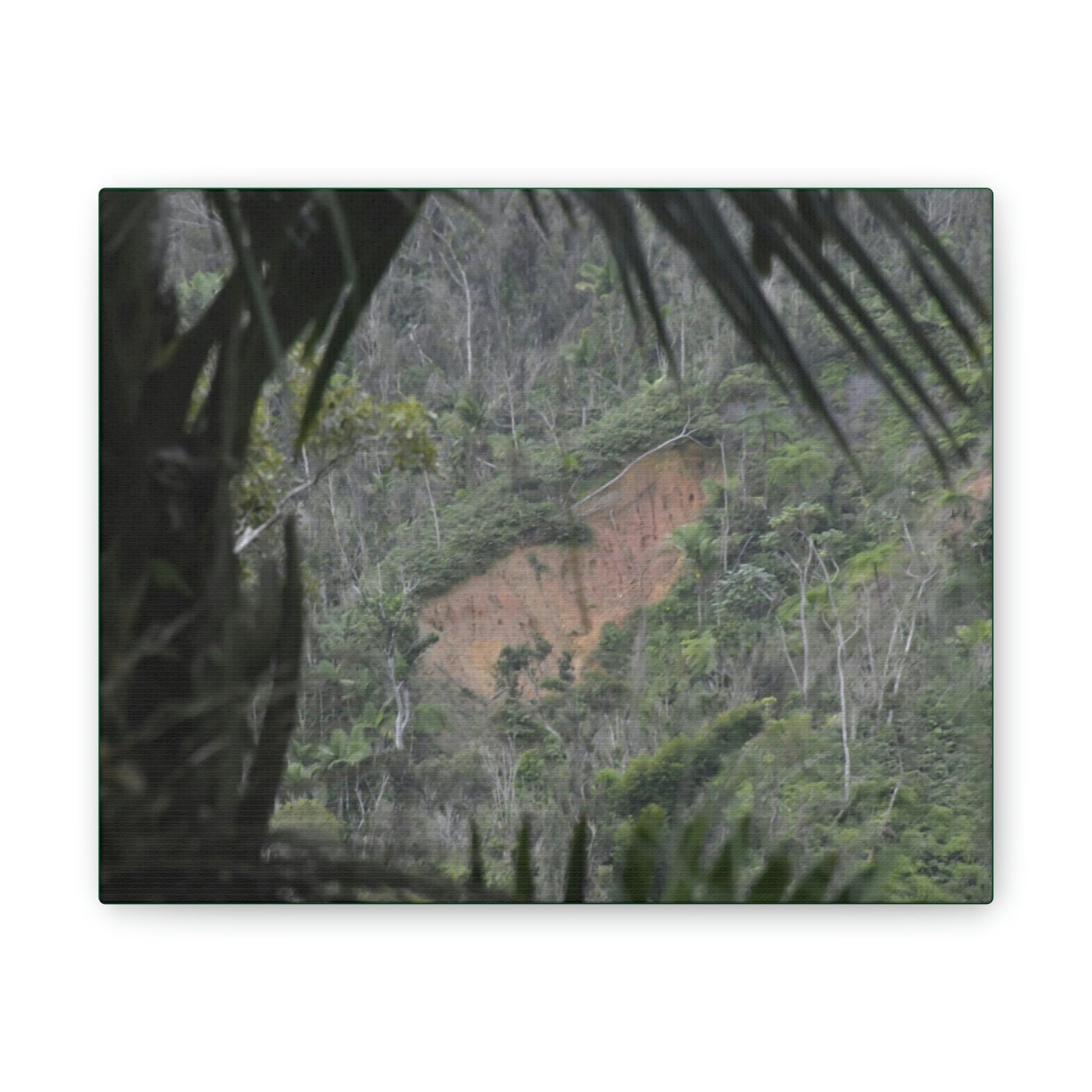 Deals on Thin Canvas - Stretched, 0.75" - Small Sizes Horizontal - Ideal for Wall Forest Mosaics - Rio Sabana Trail View of Landslide - Green Forest Home