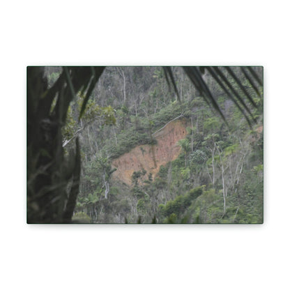 Deals on Thin Canvas - Stretched, 0.75" - Small Sizes Horizontal - Ideal for Wall Forest Mosaics - Rio Sabana Trail View of Landslide - Green Forest Home