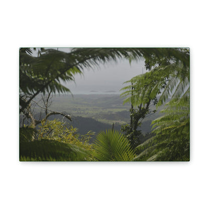 Deals on Thin Canvas - Stretched, 0.75" - Small Sizes Horizontal - Ideal for Wall Forest Mosaics - Rio Sabana Trail view of Naguabo & Ocean - Green Forest Home