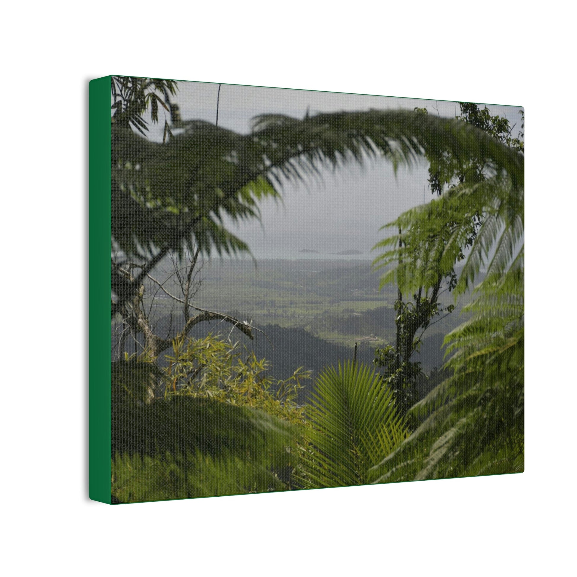 Deals on Thin Canvas - Stretched, 0.75" - Small Sizes Horizontal - Ideal for Wall Forest Mosaics - Rio Sabana Trail view of Naguabo & Ocean - Green Forest Home