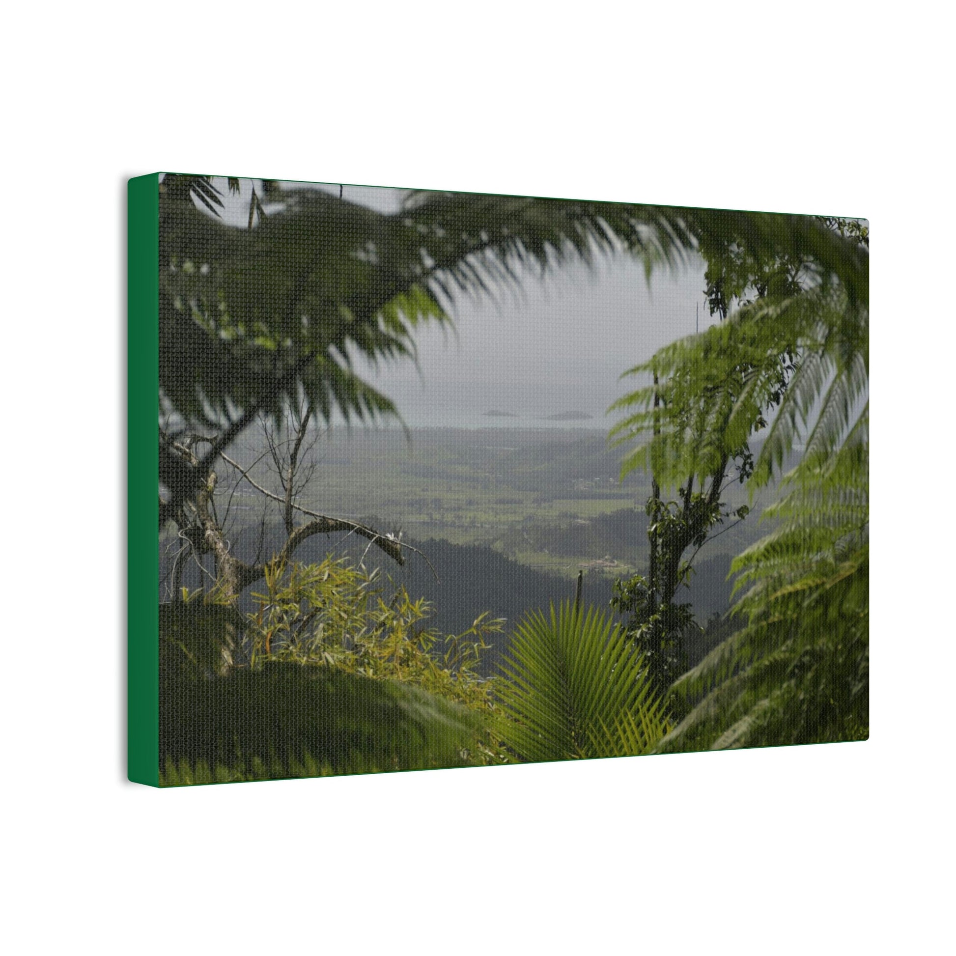 Deals on Thin Canvas - Stretched, 0.75" - Small Sizes Horizontal - Ideal for Wall Forest Mosaics - Rio Sabana Trail view of Naguabo & Ocean - Green Forest Home