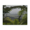 Deals on Thin Canvas - Stretched, 0.75" - Small Sizes Horizontal - Ideal for Wall Forest Mosaics - Rio Sabana Trail view of Naguabo & Ocean - Green Forest Home