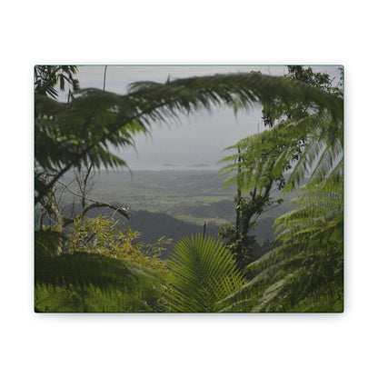 Deals on Thin Canvas - Stretched, 0.75" - Small Sizes Horizontal - Ideal for Wall Forest Mosaics - Rio Sabana Trail view of Naguabo & Ocean - Green Forest Home