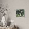 Deals on Thin Canvas - Stretched, 0.75" - Small Sizes Horizontal - Ideal for Wall Forest Mosaics - Sierra Palm Canopy - Rio Sabana Park - Green Forest Home
