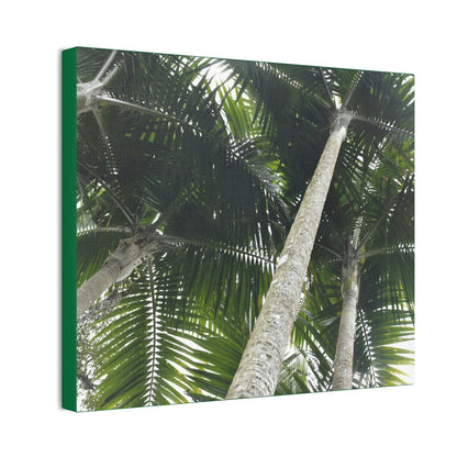 Deals on Thin Canvas - Stretched, 0.75" - Small Sizes Horizontal - Ideal for Wall Forest Mosaics - Sierra Palm Canopy - Rio Sabana Park - Green Forest Home