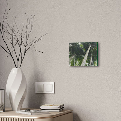 Deals on Thin Canvas - Stretched, 0.75" - Small Sizes Horizontal - Ideal for Wall Forest Mosaics - Sierra Palm Canopy - Rio Sabana Park - Green Forest Home