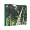 Deals on Thin Canvas - Stretched, 0.75" - Small Sizes Horizontal - Ideal for Wall Forest Mosaics - Sierra Palm Canopy - Rio Sabana Park - Green Forest Home