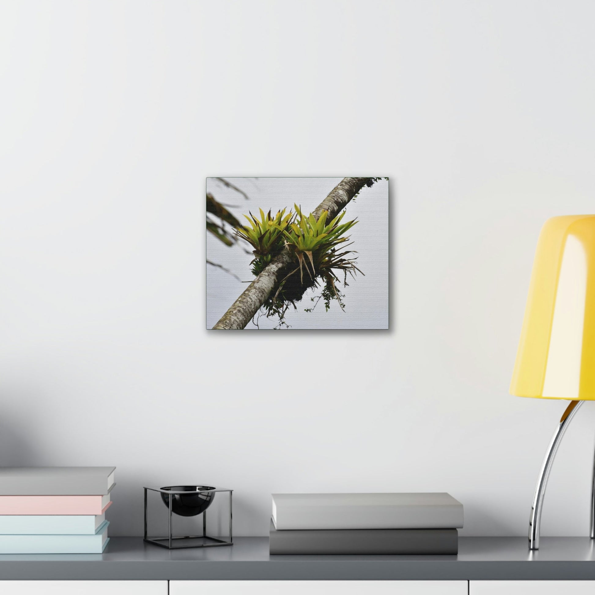 Deals on Thin Canvas - Stretched, 0.75" - Small Sizes Horizontal - Ideal for Wall Forest Mosaics - Surviving Sierra Palm with Bromeliad - Green Forest Home