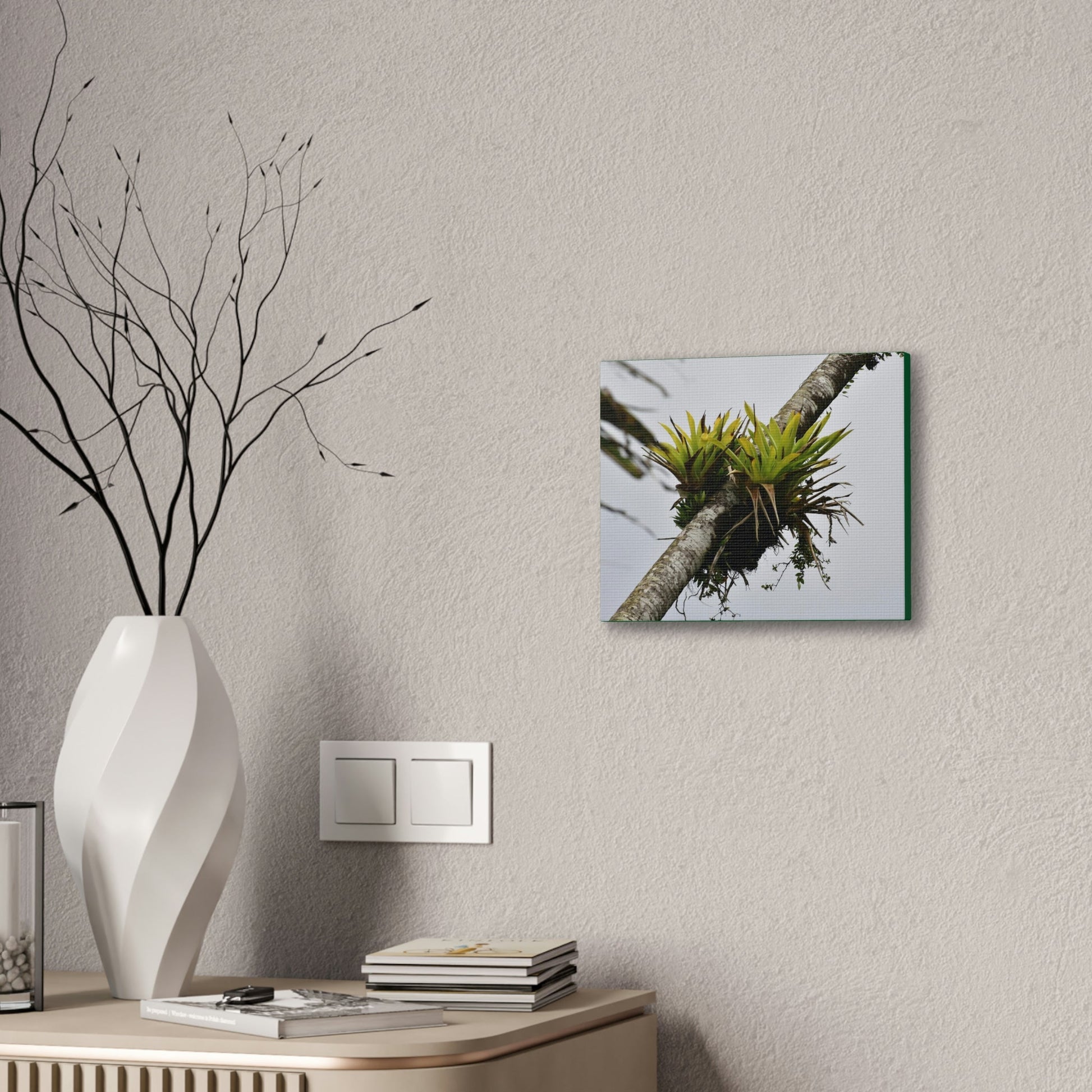 Deals on Thin Canvas - Stretched, 0.75" - Small Sizes Horizontal - Ideal for Wall Forest Mosaics - Surviving Sierra Palm with Bromeliad - Green Forest Home