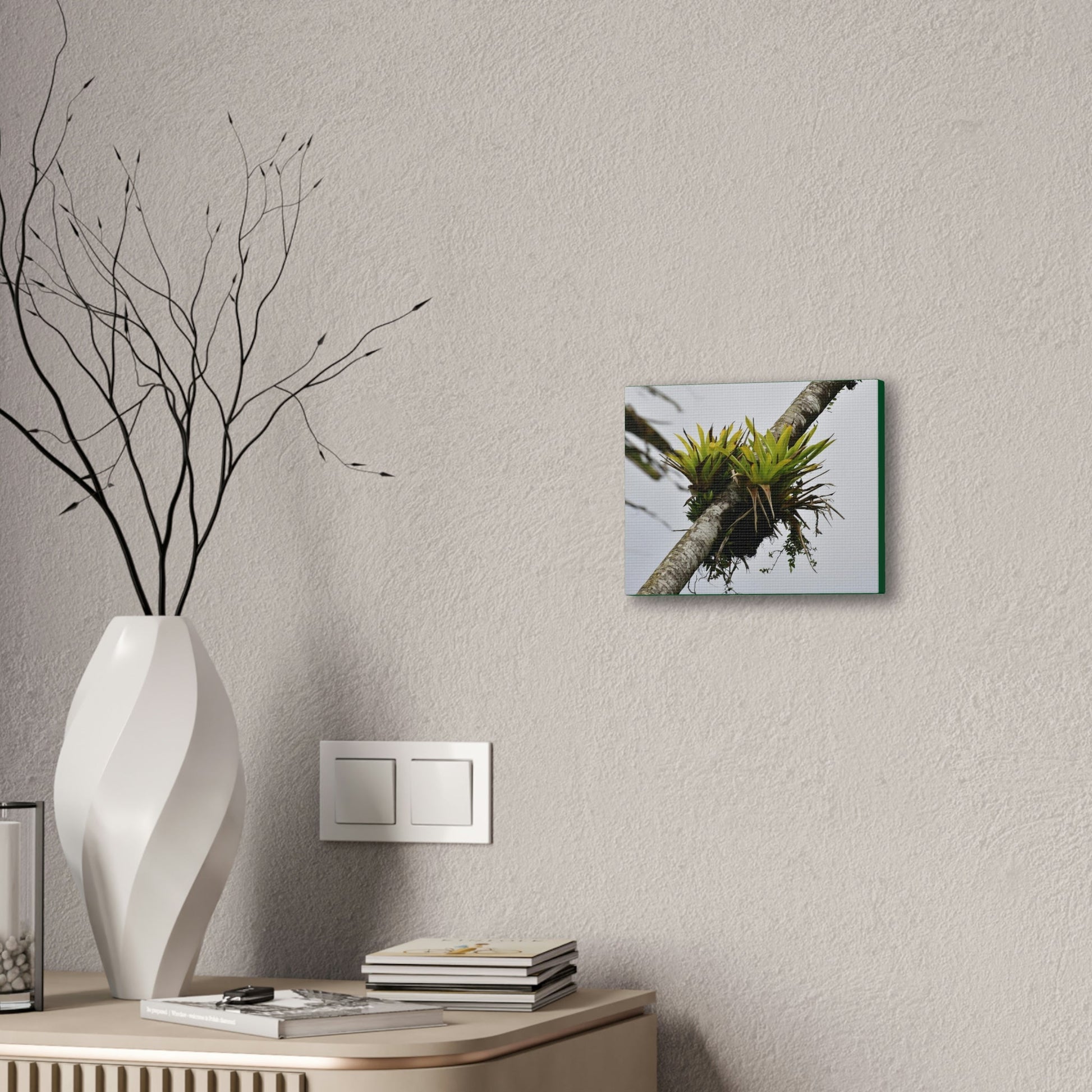Deals on Thin Canvas - Stretched, 0.75" - Small Sizes Horizontal - Ideal for Wall Forest Mosaics - Surviving Sierra Palm with Bromeliad - Green Forest Home