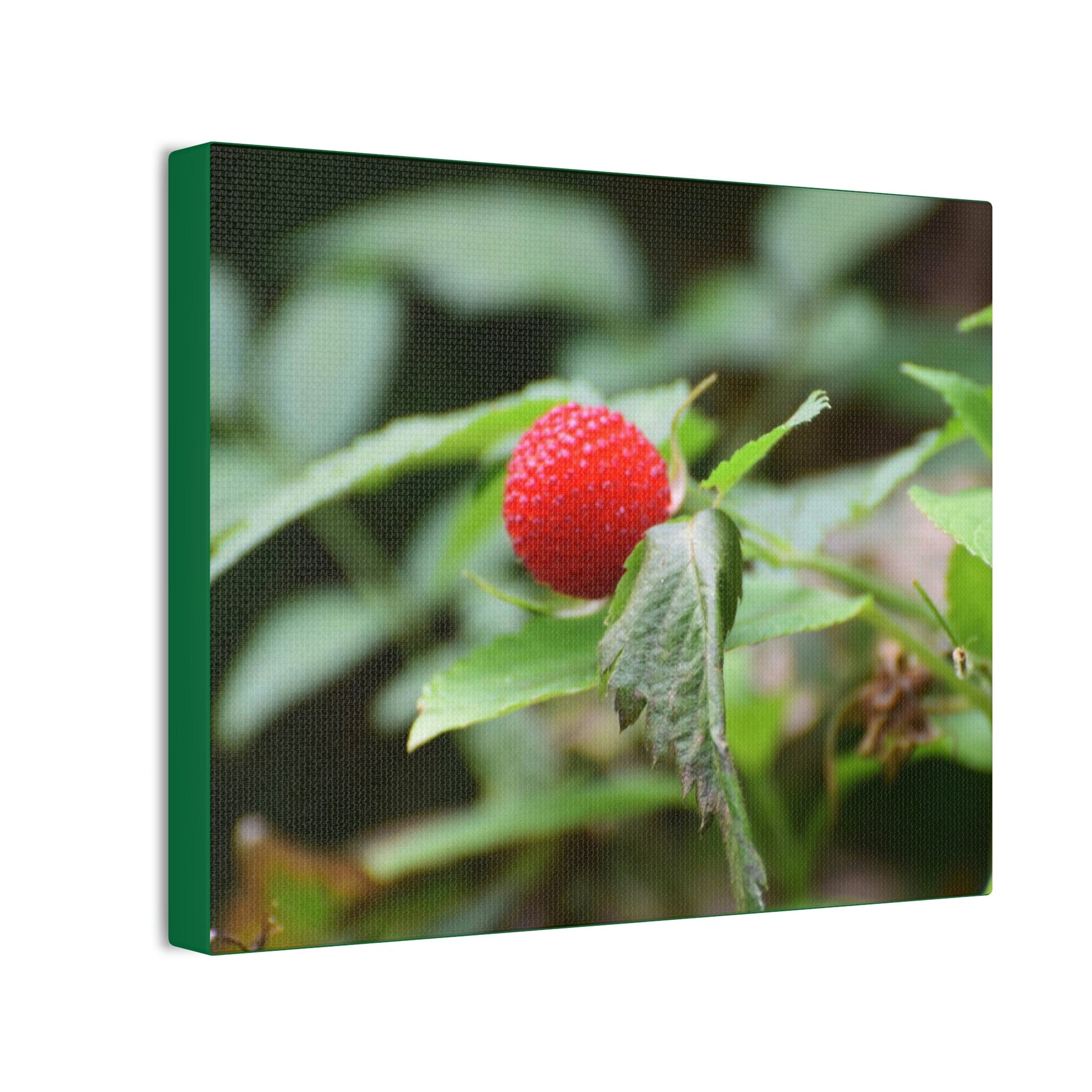 Deals on Thin Canvas - Stretched, 0.75" - Small Sizes Horizontal - Ideal for Wall Forest Mosaics - Sweet Wild Strawberry on side of roads - Green Forest Home